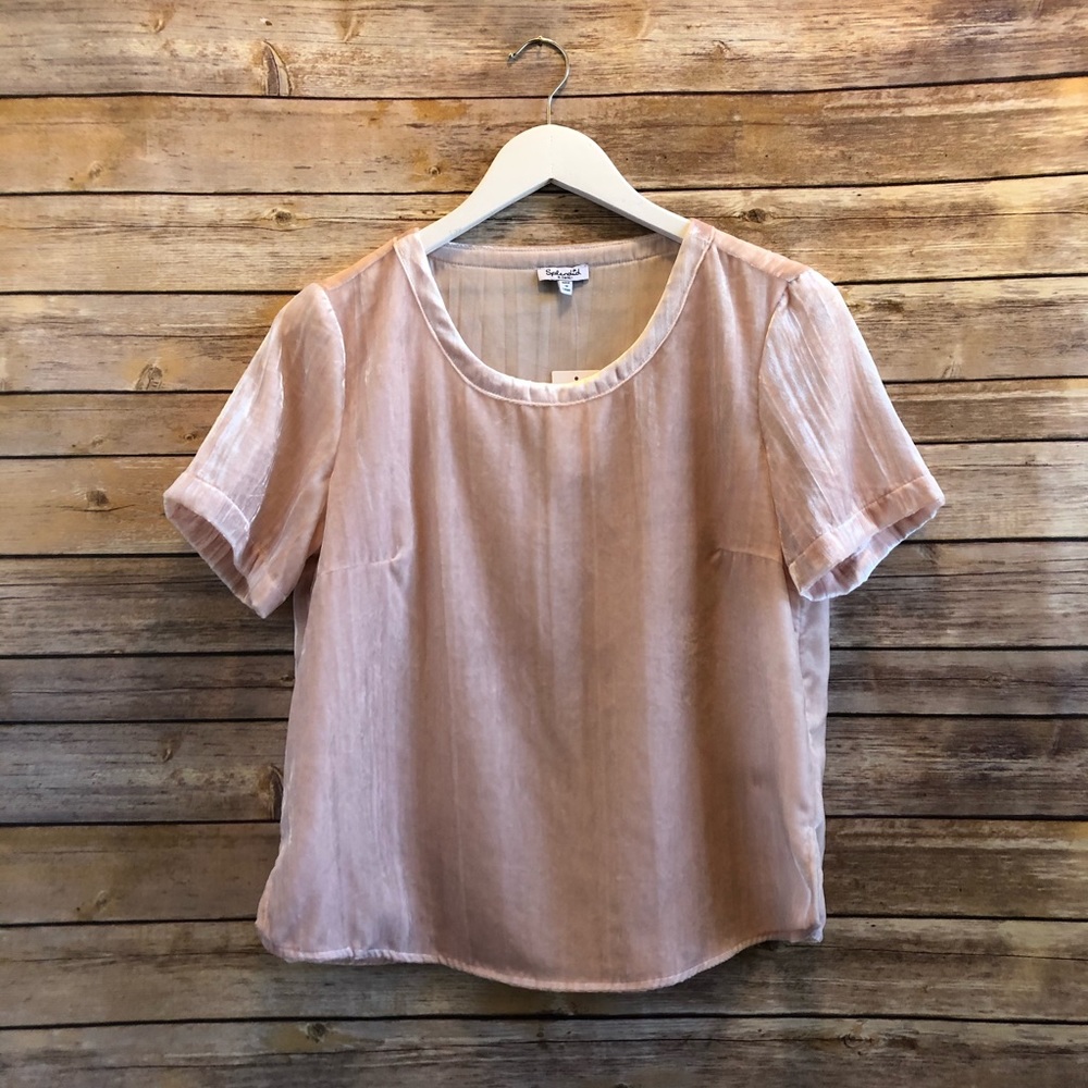 Splendid Moonstone Velvet Short Sleeve Tee Size XS NWT